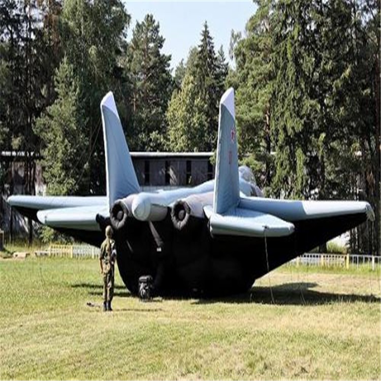 阜南充气飞机模型